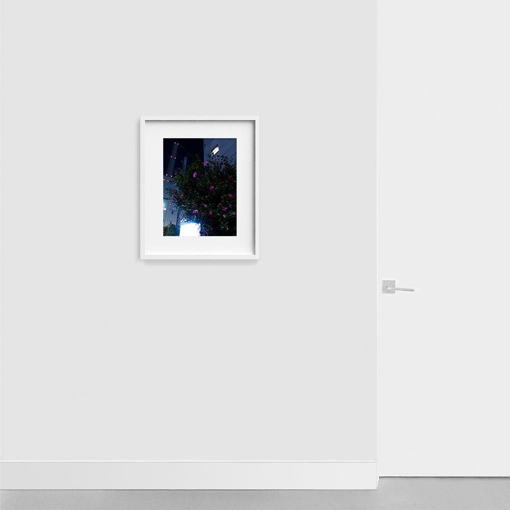 Photograph by Neil Kryszak