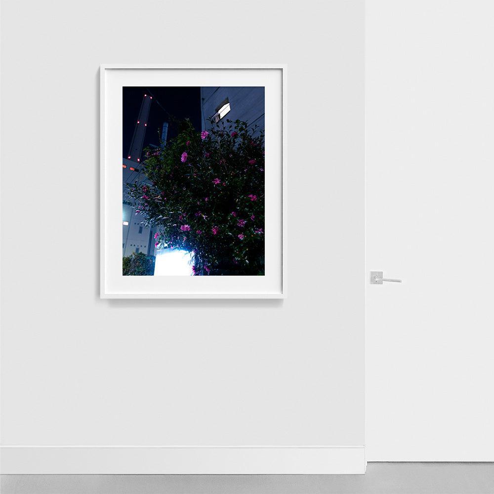 Photograph by Neil Kryszak