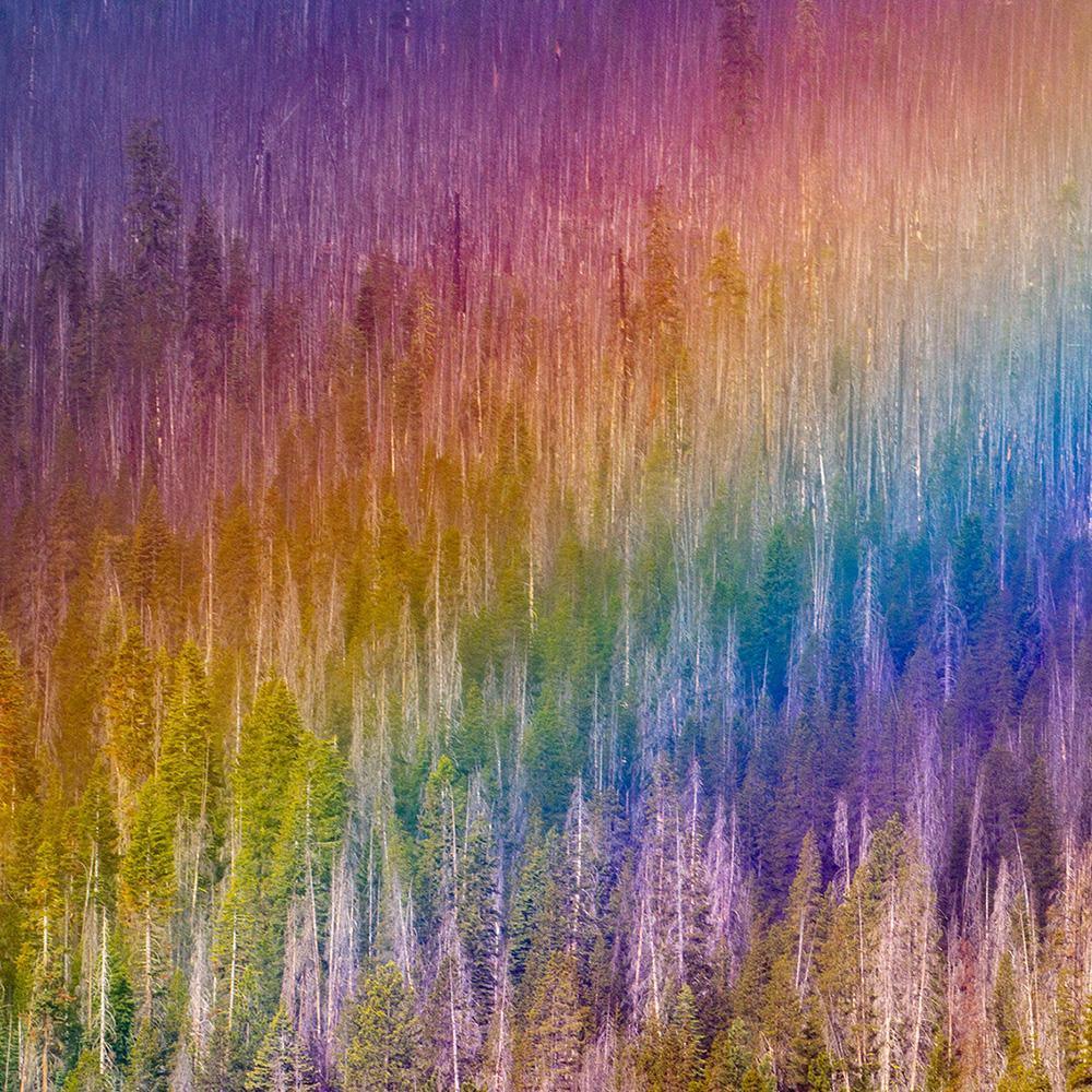 Photograph by Brian Merriam