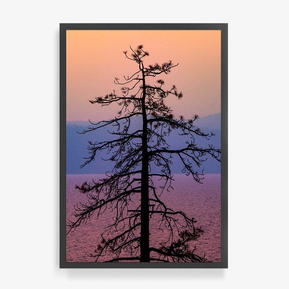 Photograph by Brian Merriam