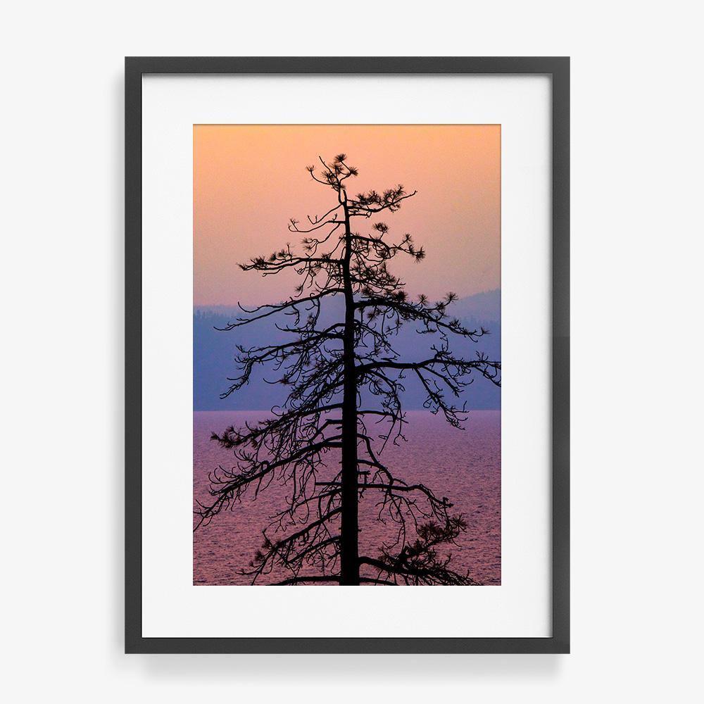 Photograph by Brian Merriam