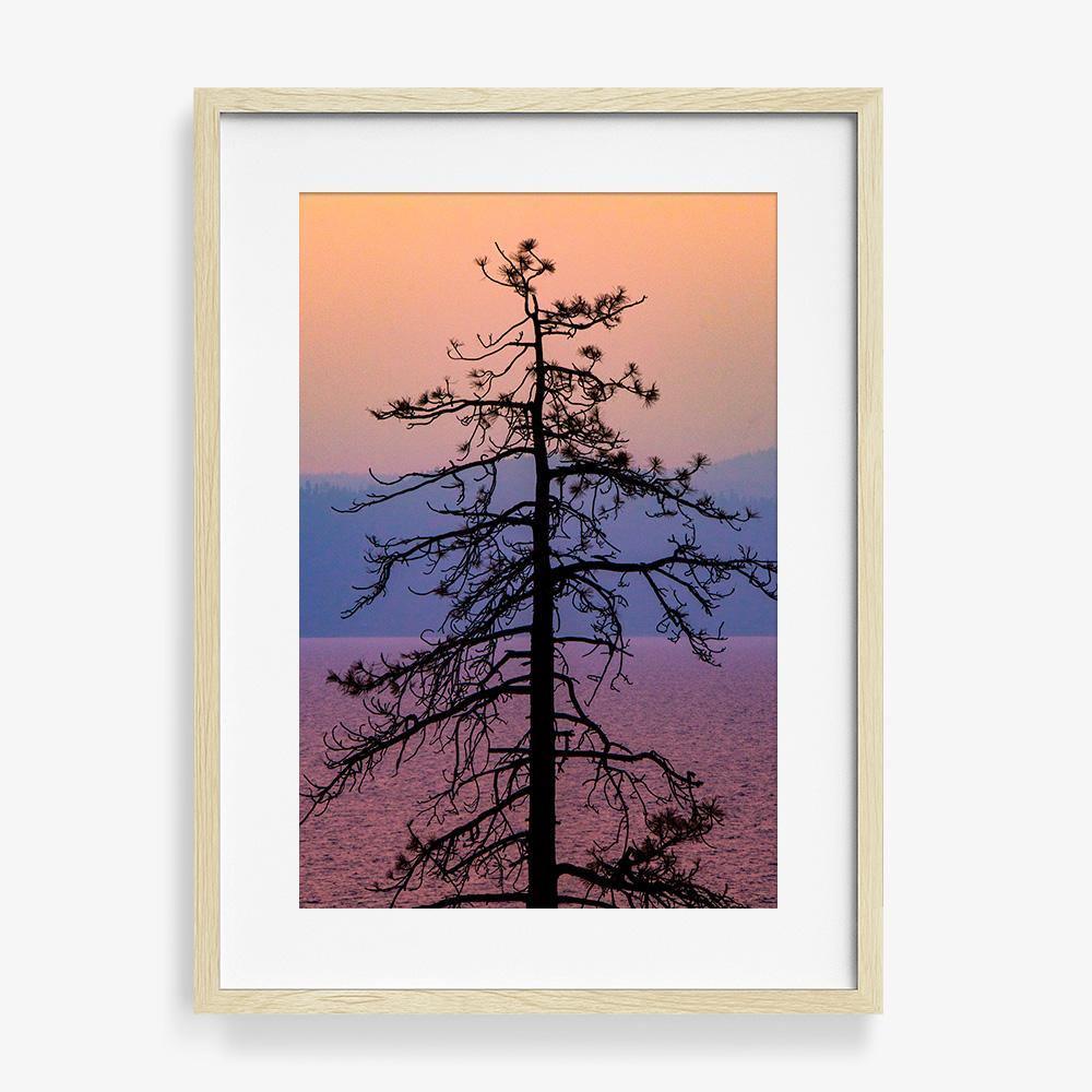 Photograph by Brian Merriam