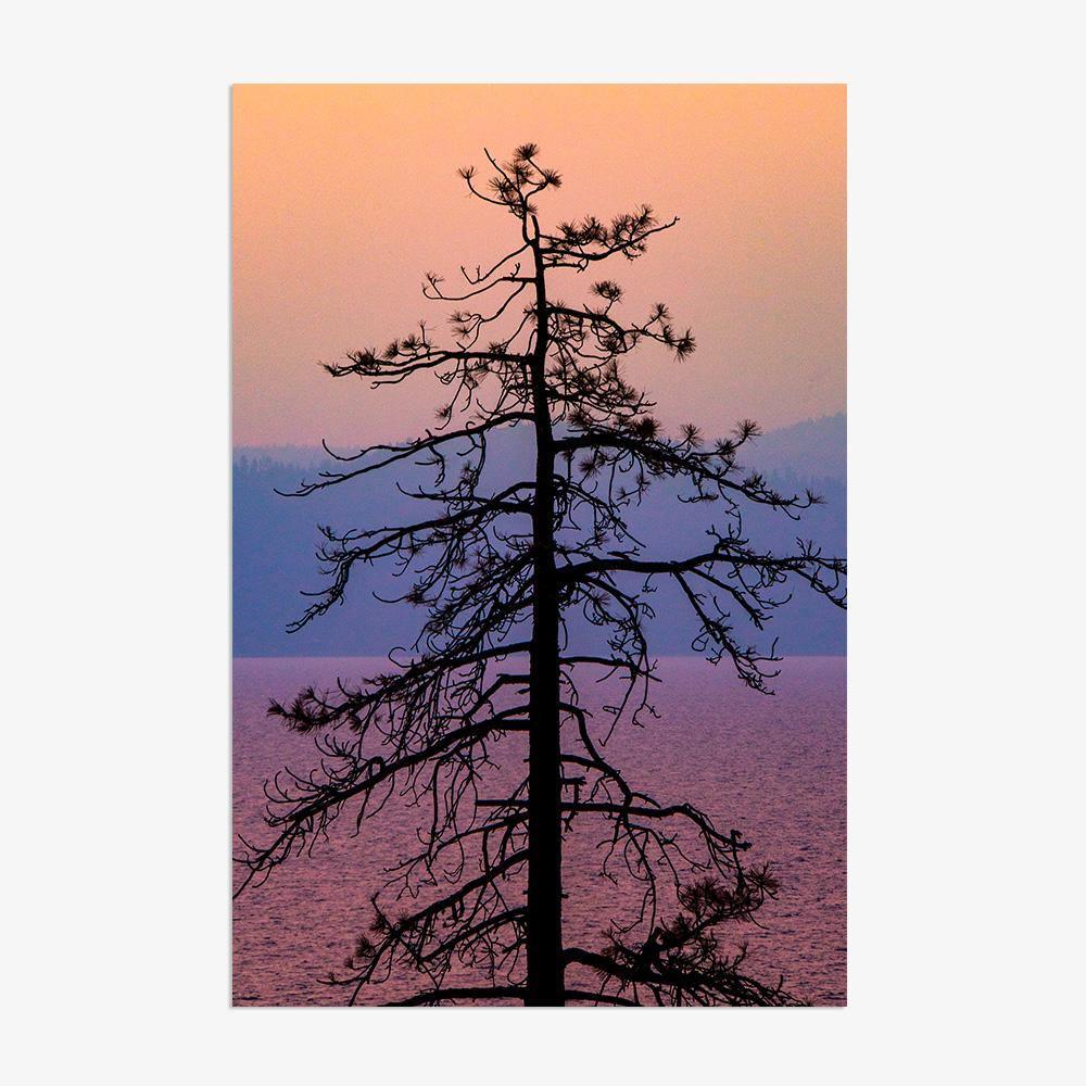 Photograph by Brian Merriam