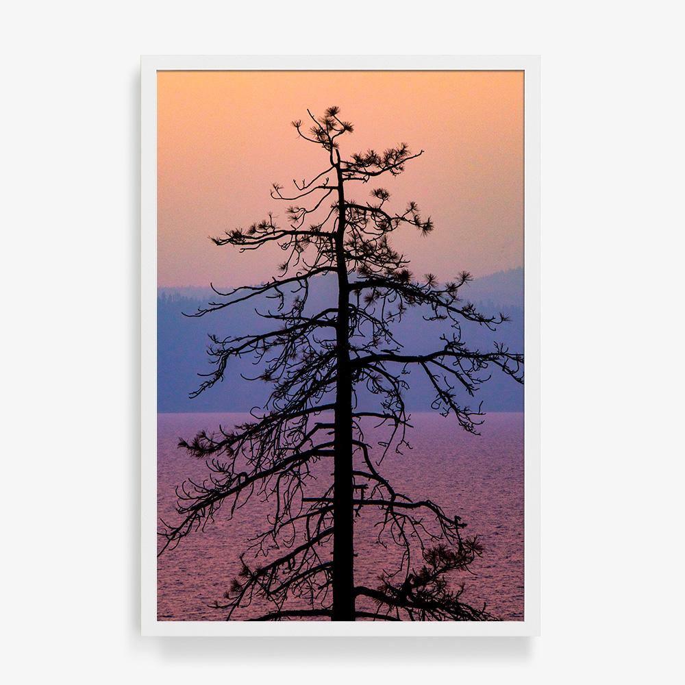 Photograph by Brian Merriam