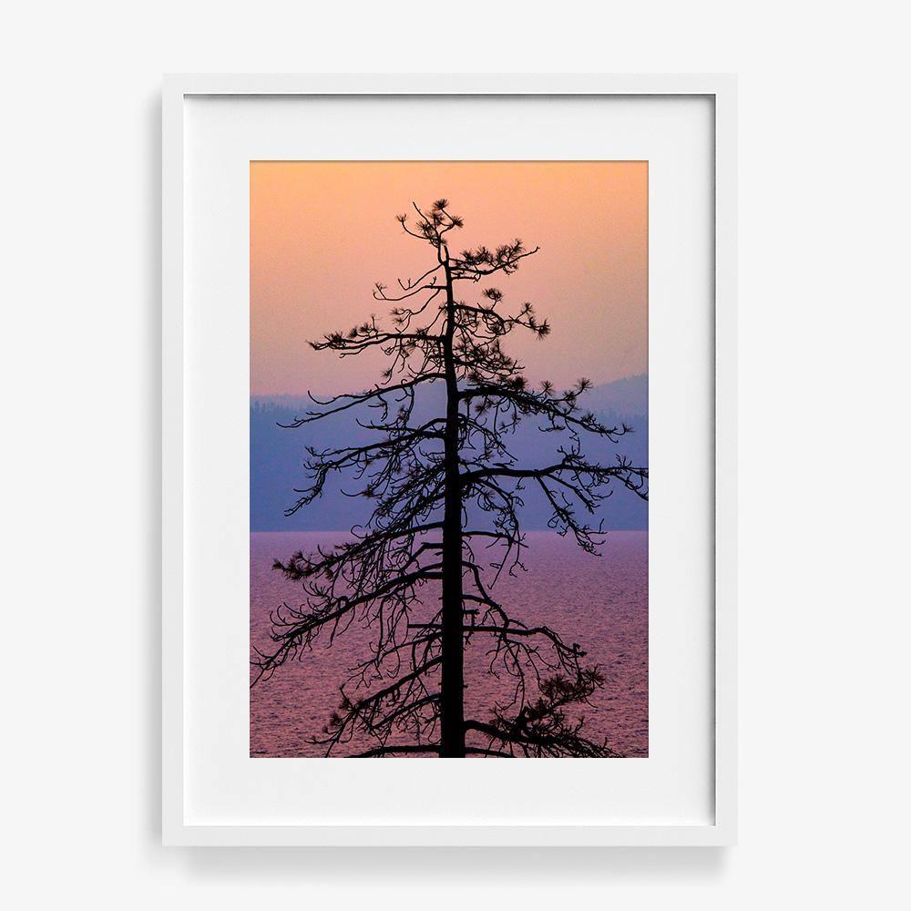 Photograph by Brian Merriam