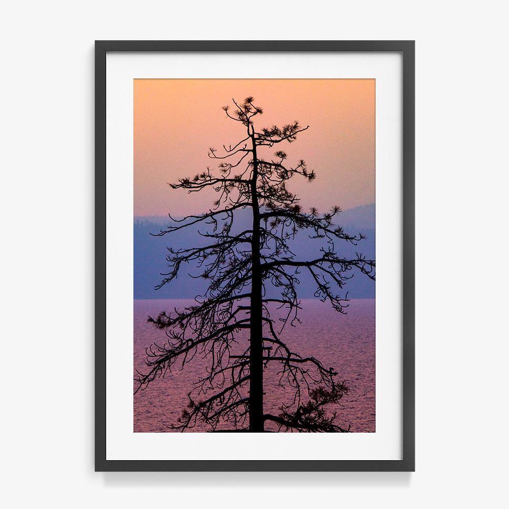 Photograph by Brian Merriam