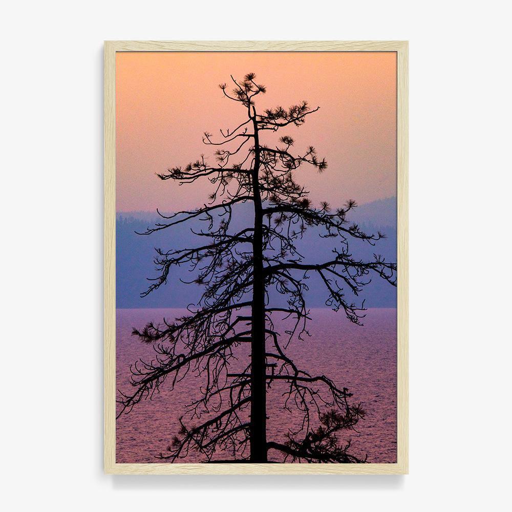 Photograph by Brian Merriam