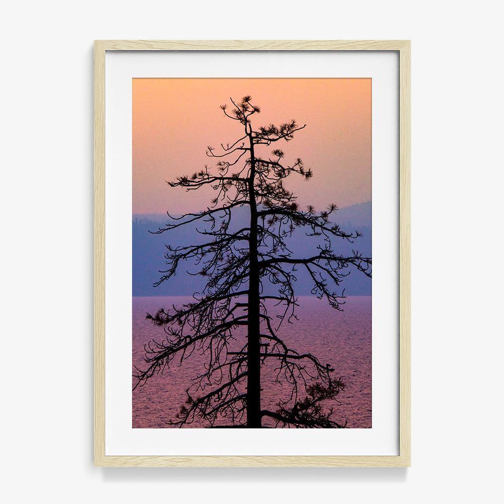 Photograph by Brian Merriam