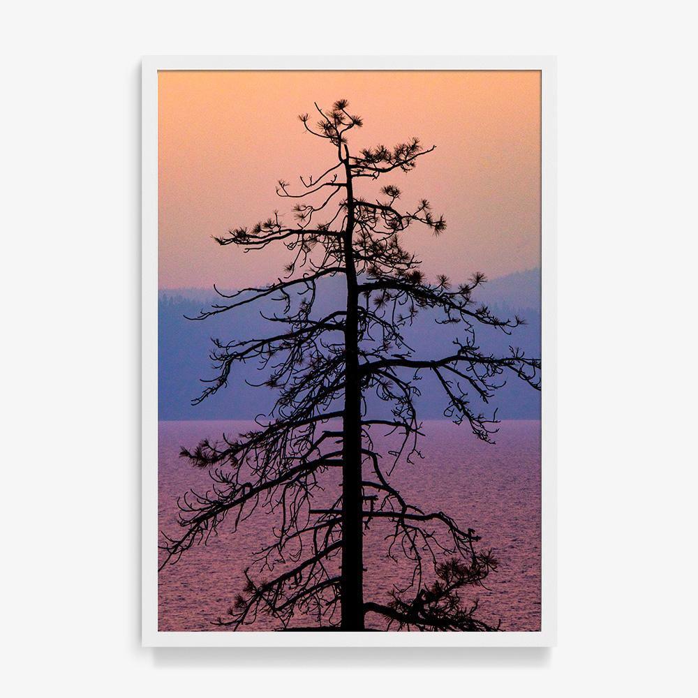 Photograph by Brian Merriam