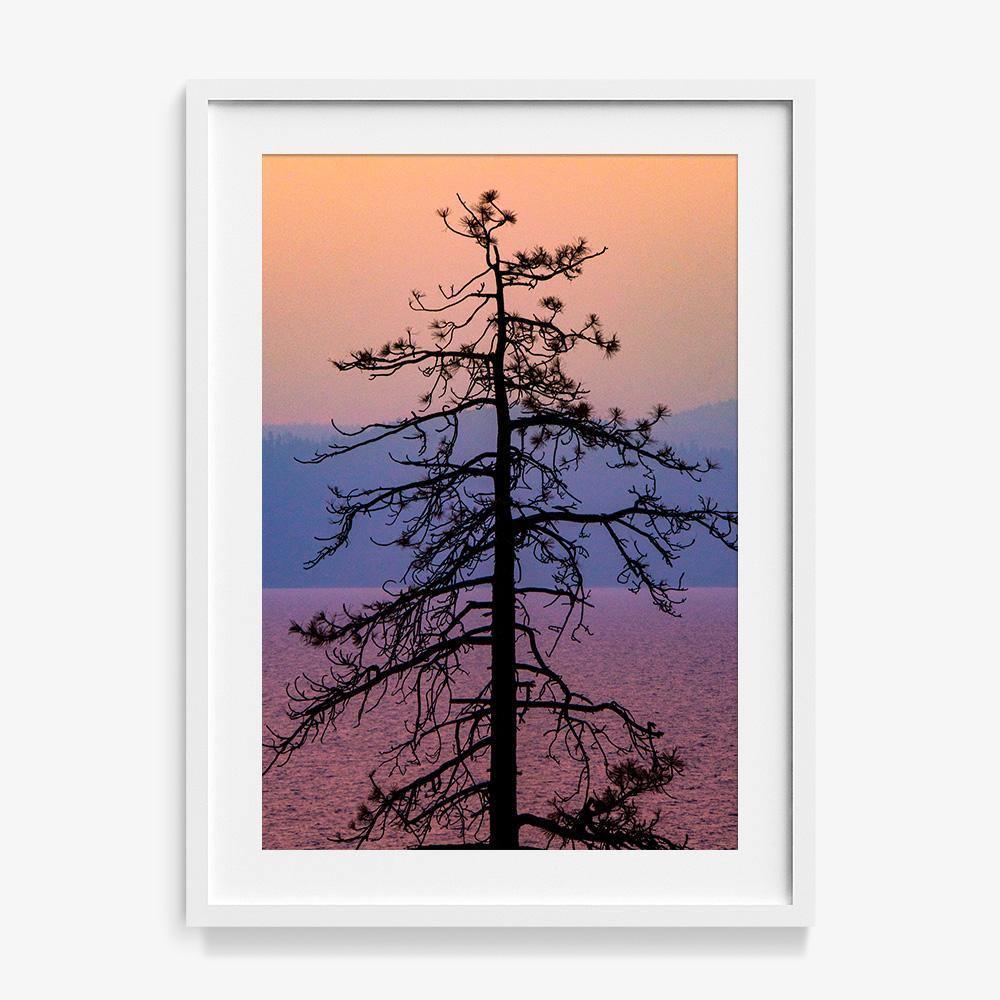 Photograph by Brian Merriam