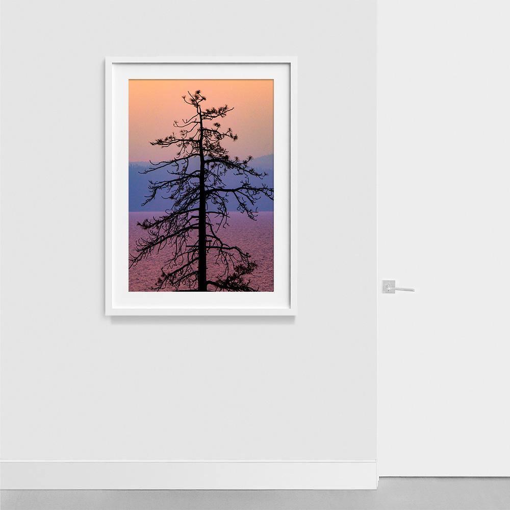 Photograph by Brian Merriam