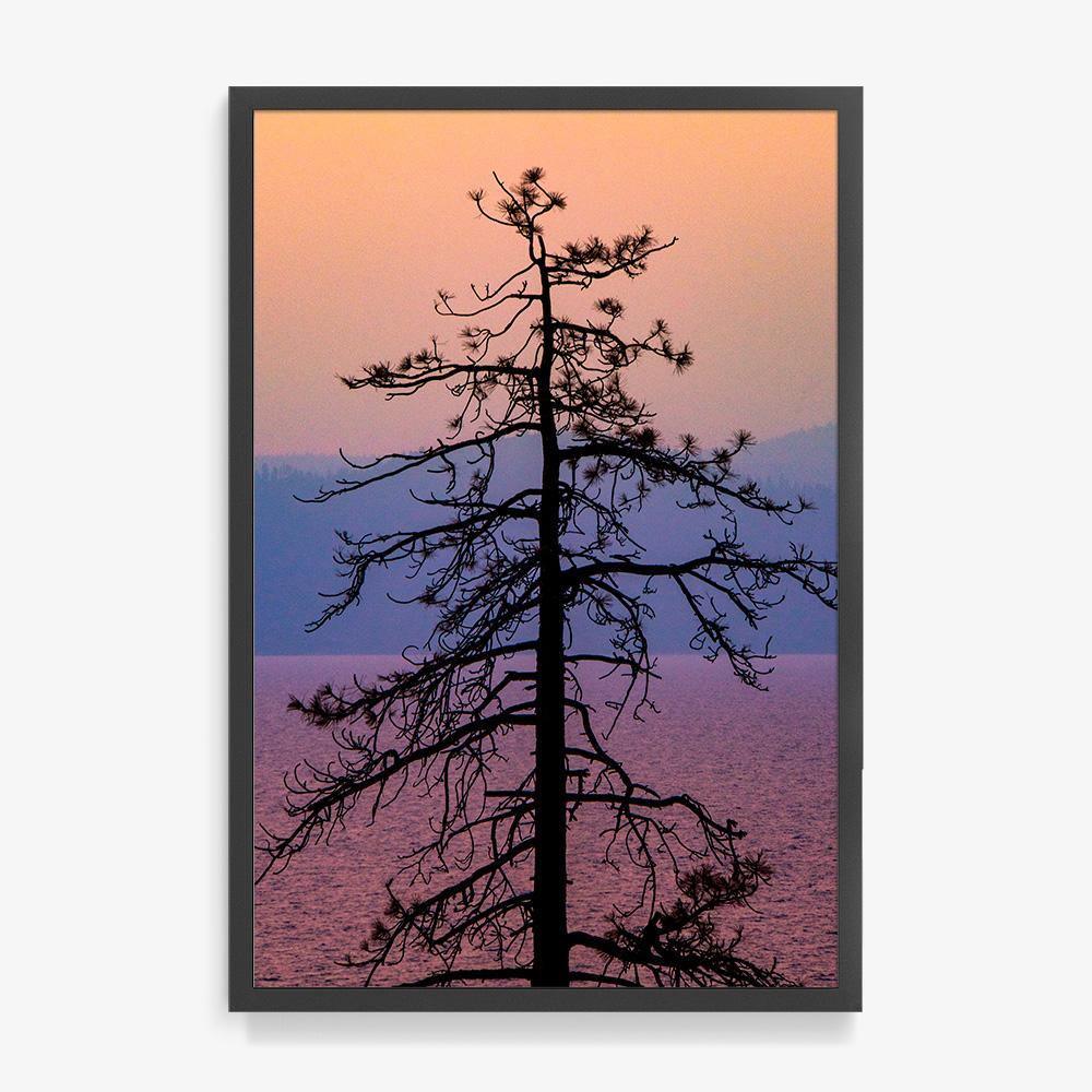 Photograph by Brian Merriam