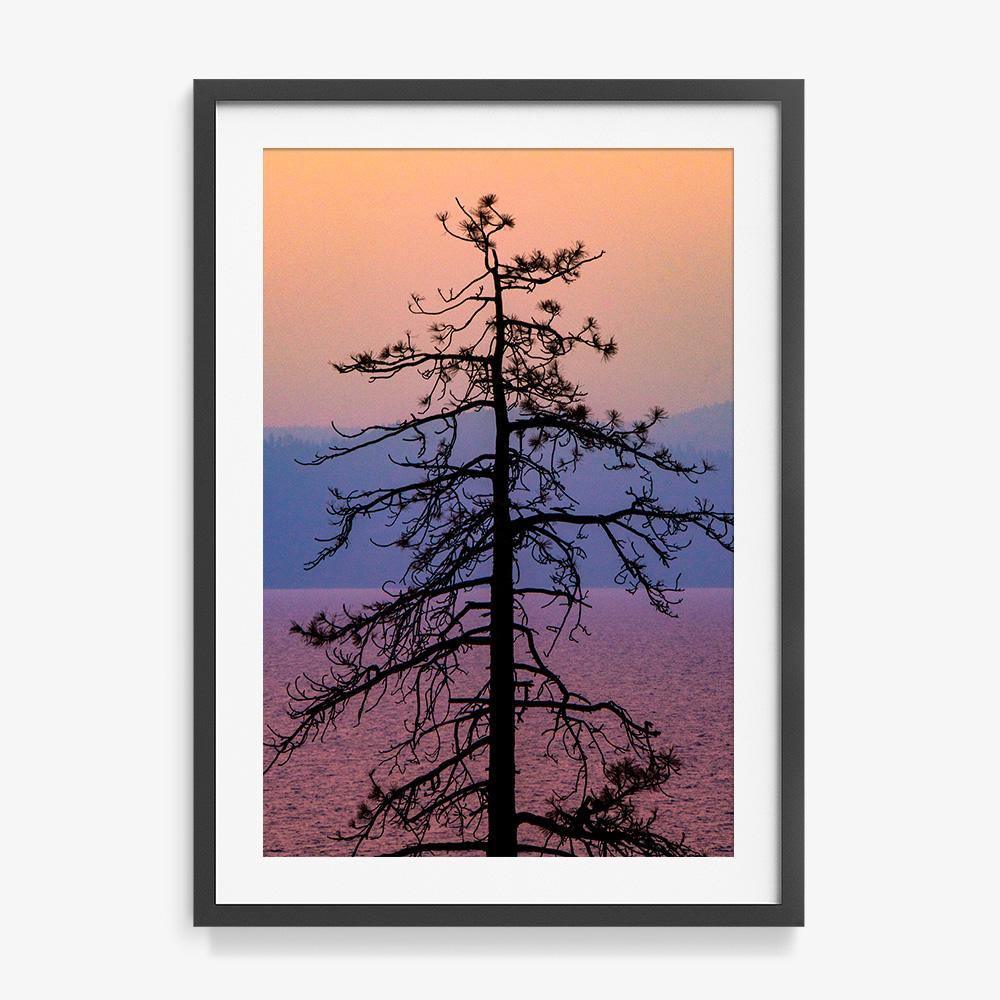 Photograph by Brian Merriam