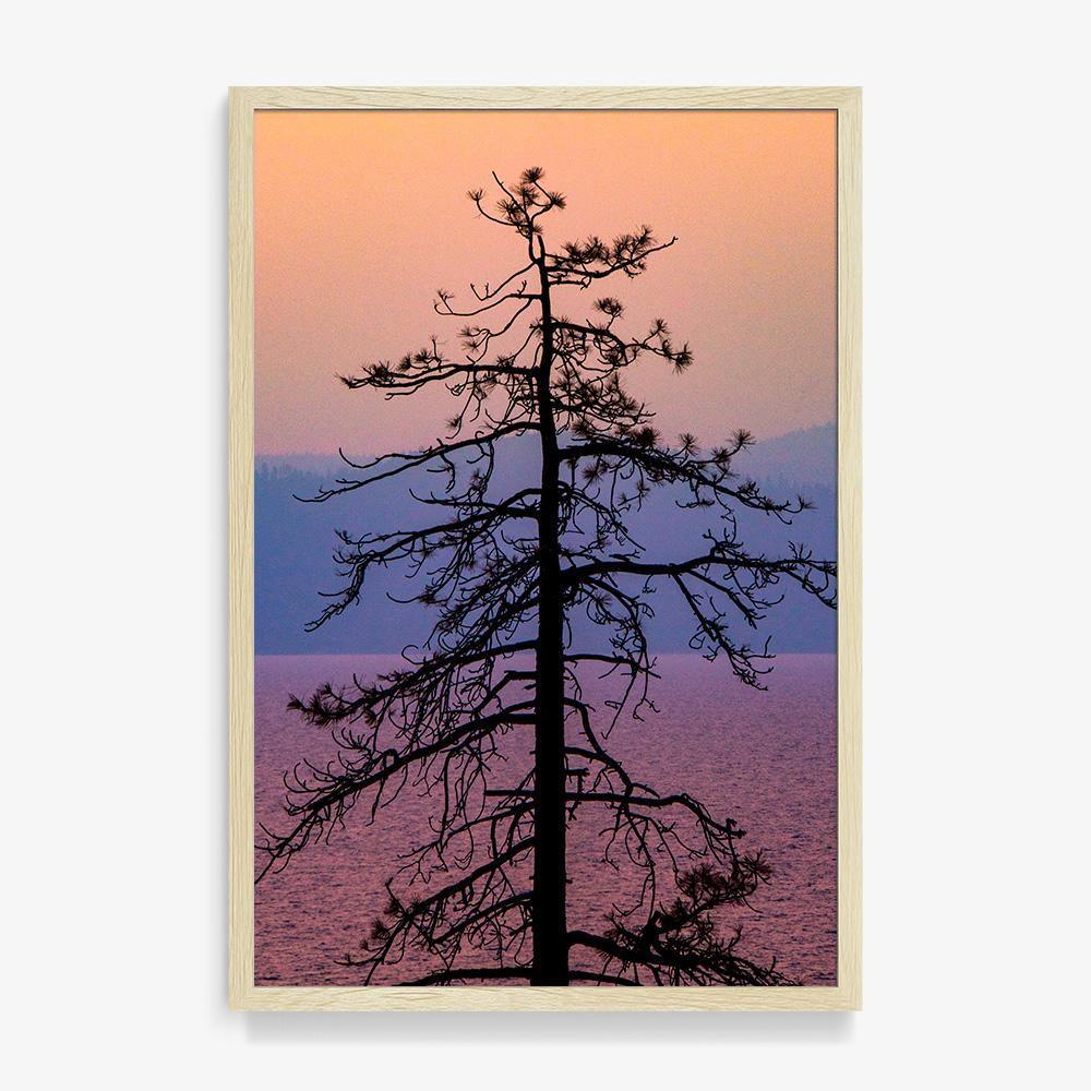 Photograph by Brian Merriam