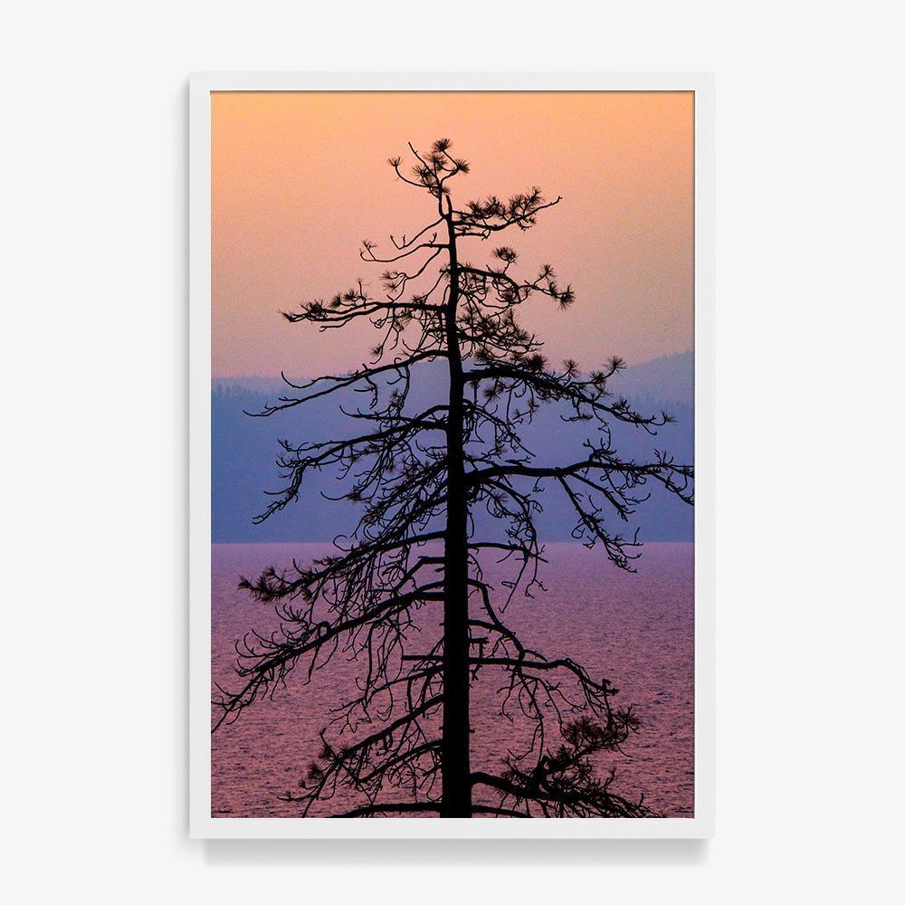 Photograph by Brian Merriam