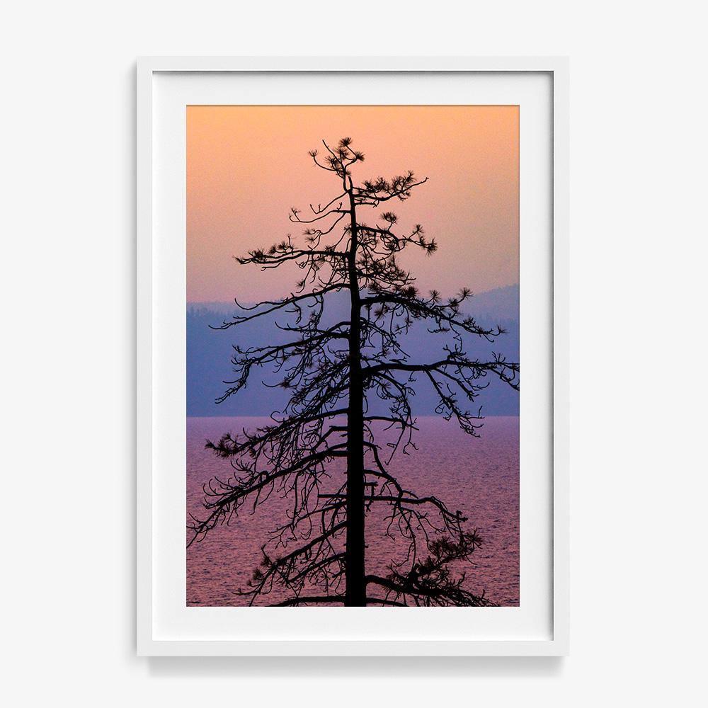 Photograph by Brian Merriam