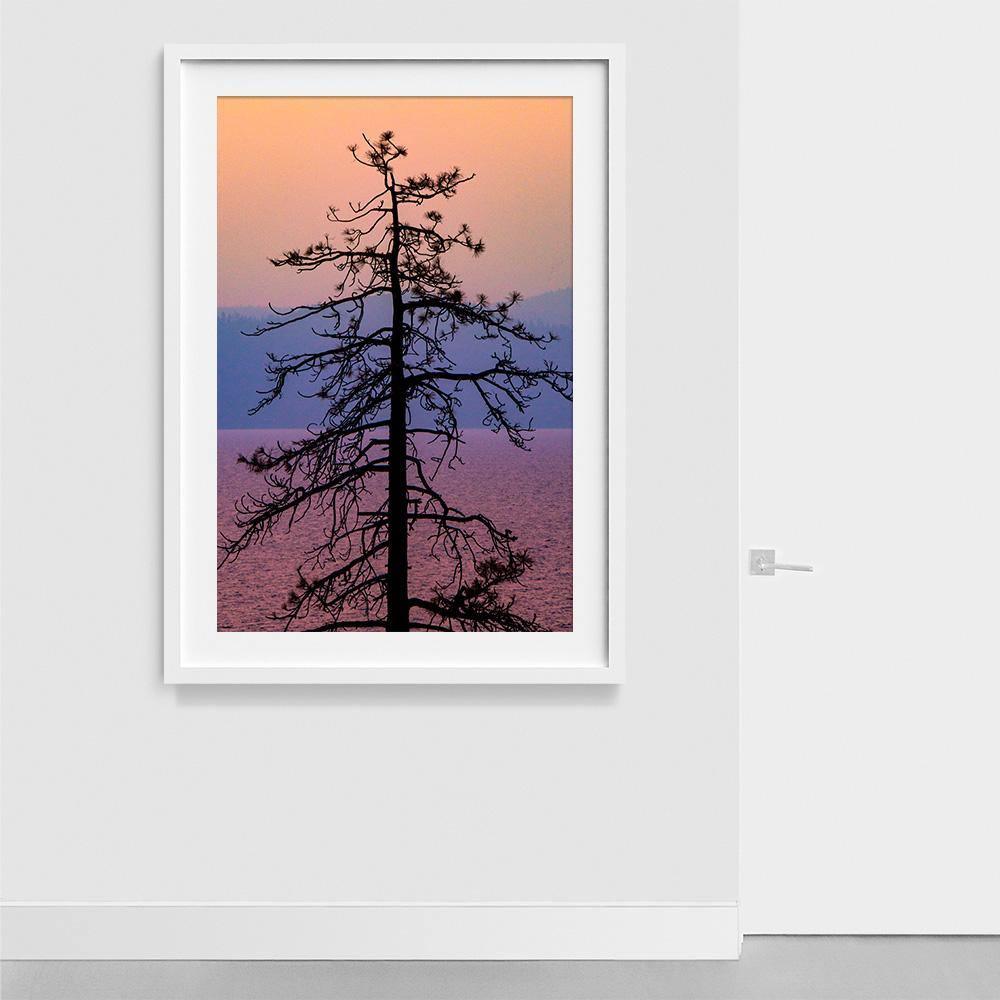 Photograph by Brian Merriam