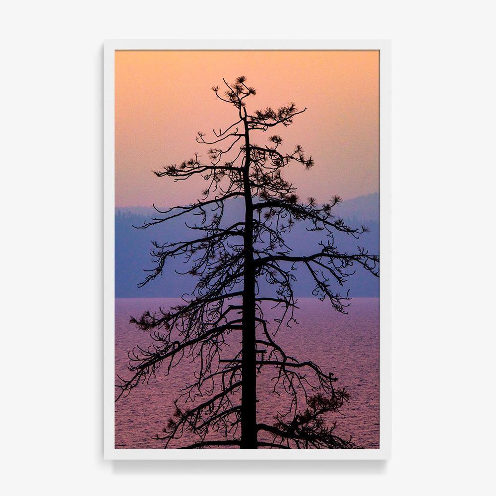 Photograph by Brian Merriam