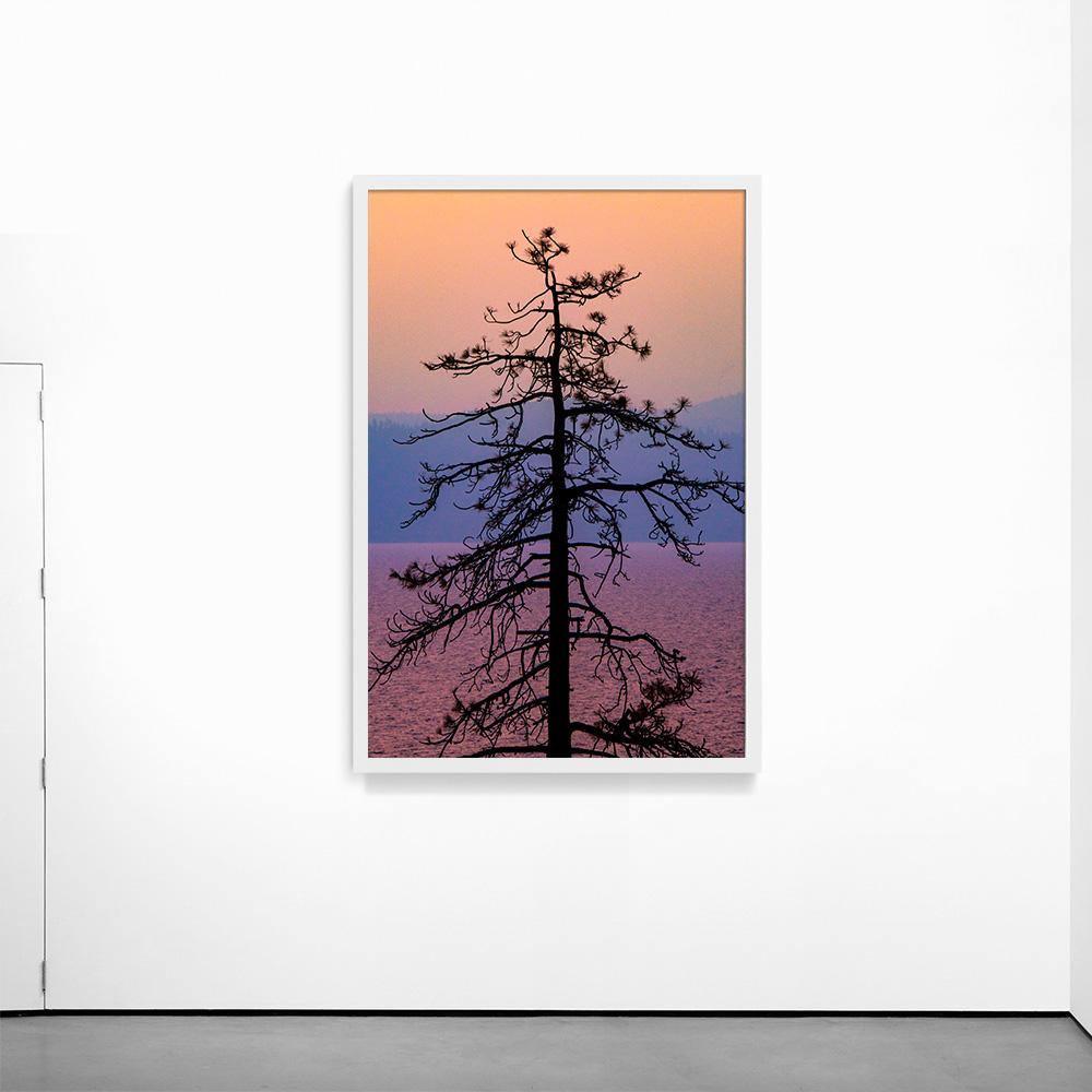 Photograph by Brian Merriam