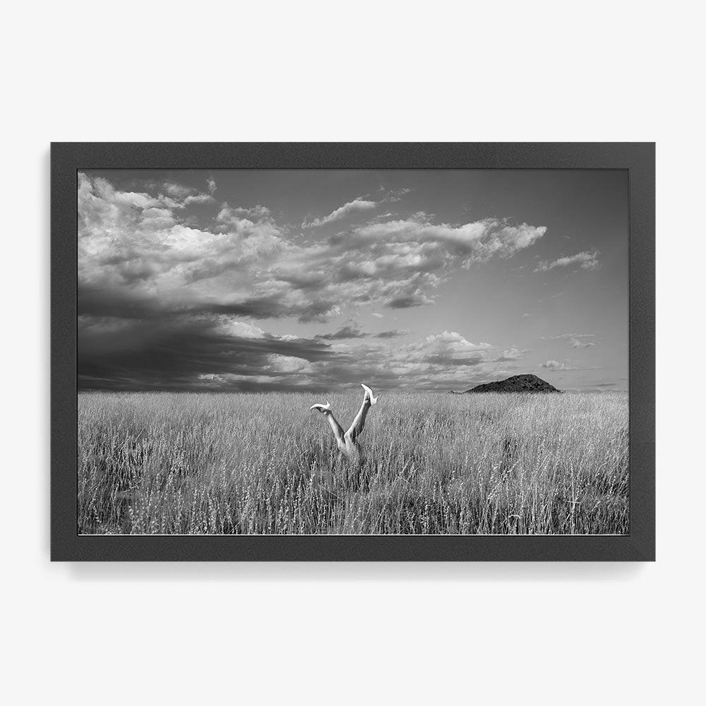 Photograph by Astrid Verhoef