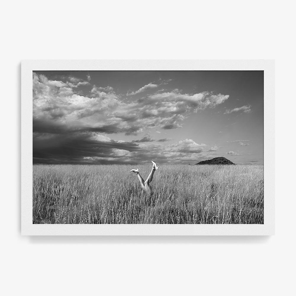 Photograph by Astrid Verhoef