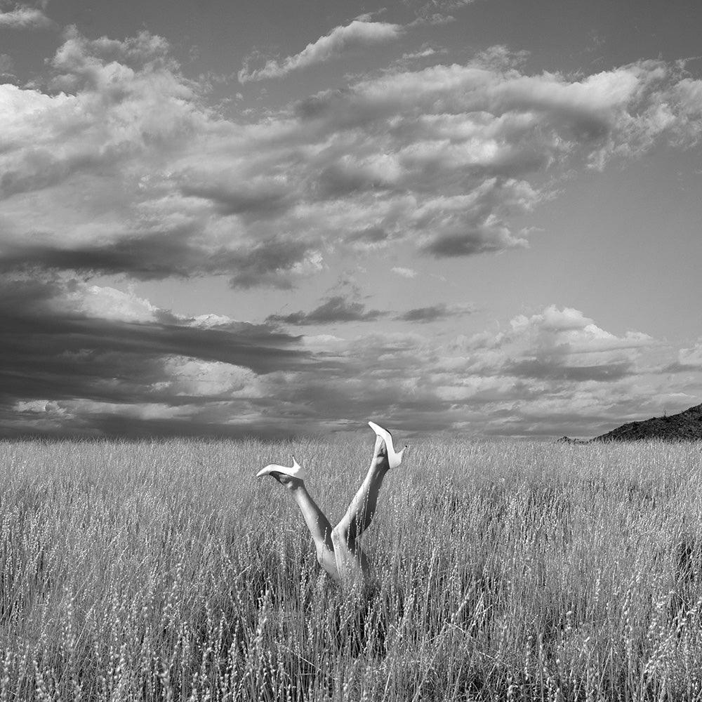 Photograph by Astrid Verhoef