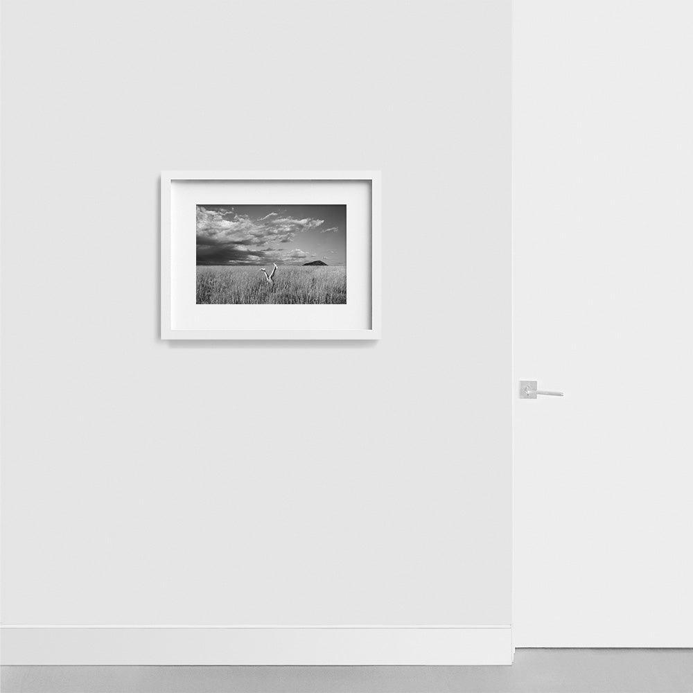 Photograph by Astrid Verhoef