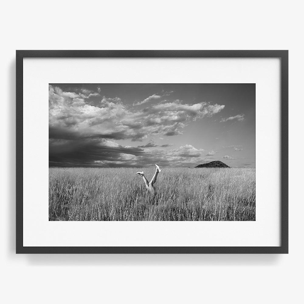 Photograph by Astrid Verhoef