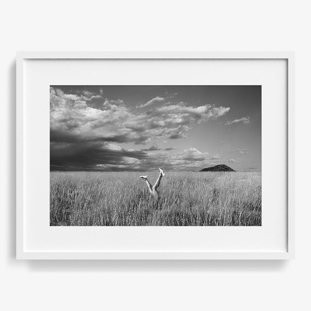 Photograph by Astrid Verhoef