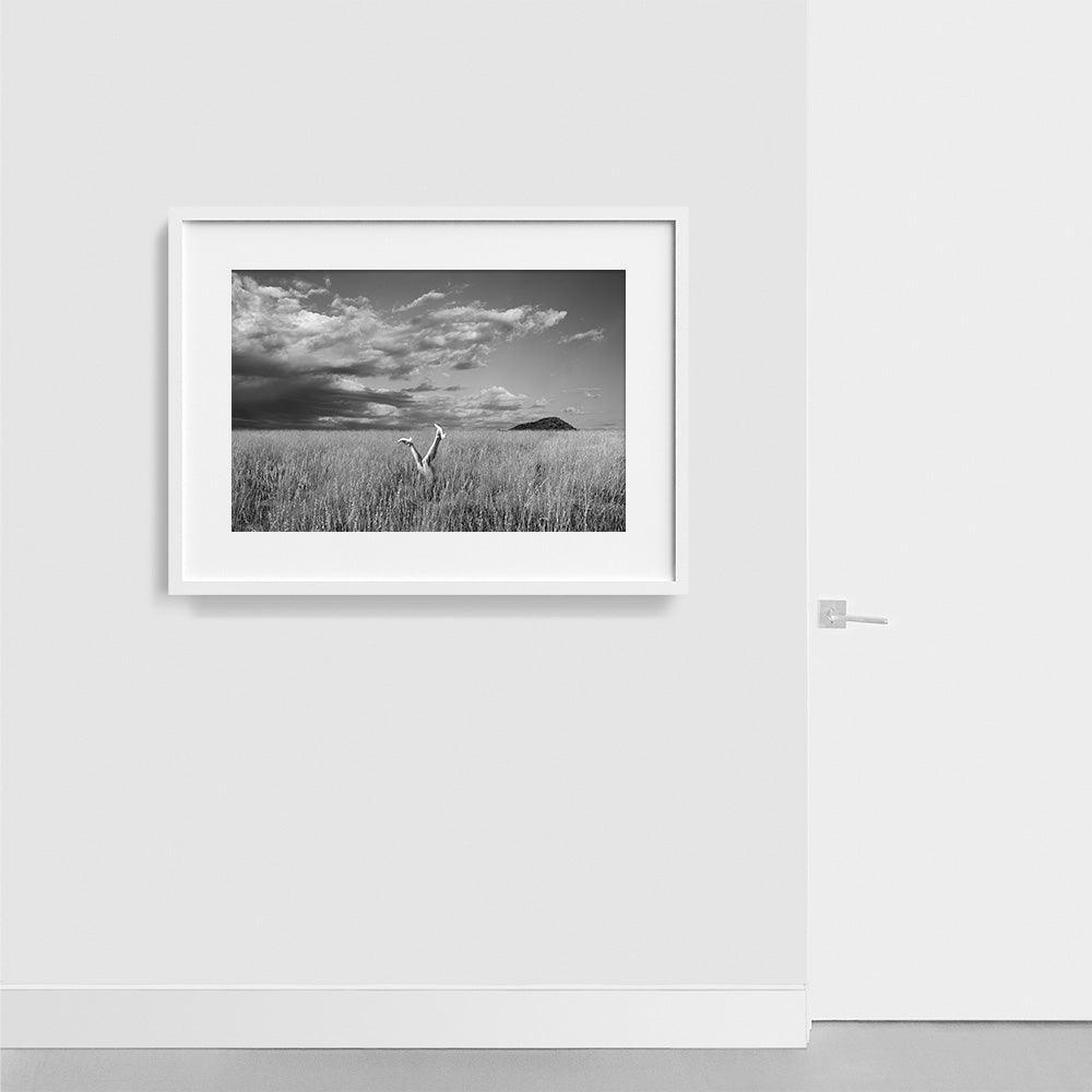 Photograph by Astrid Verhoef