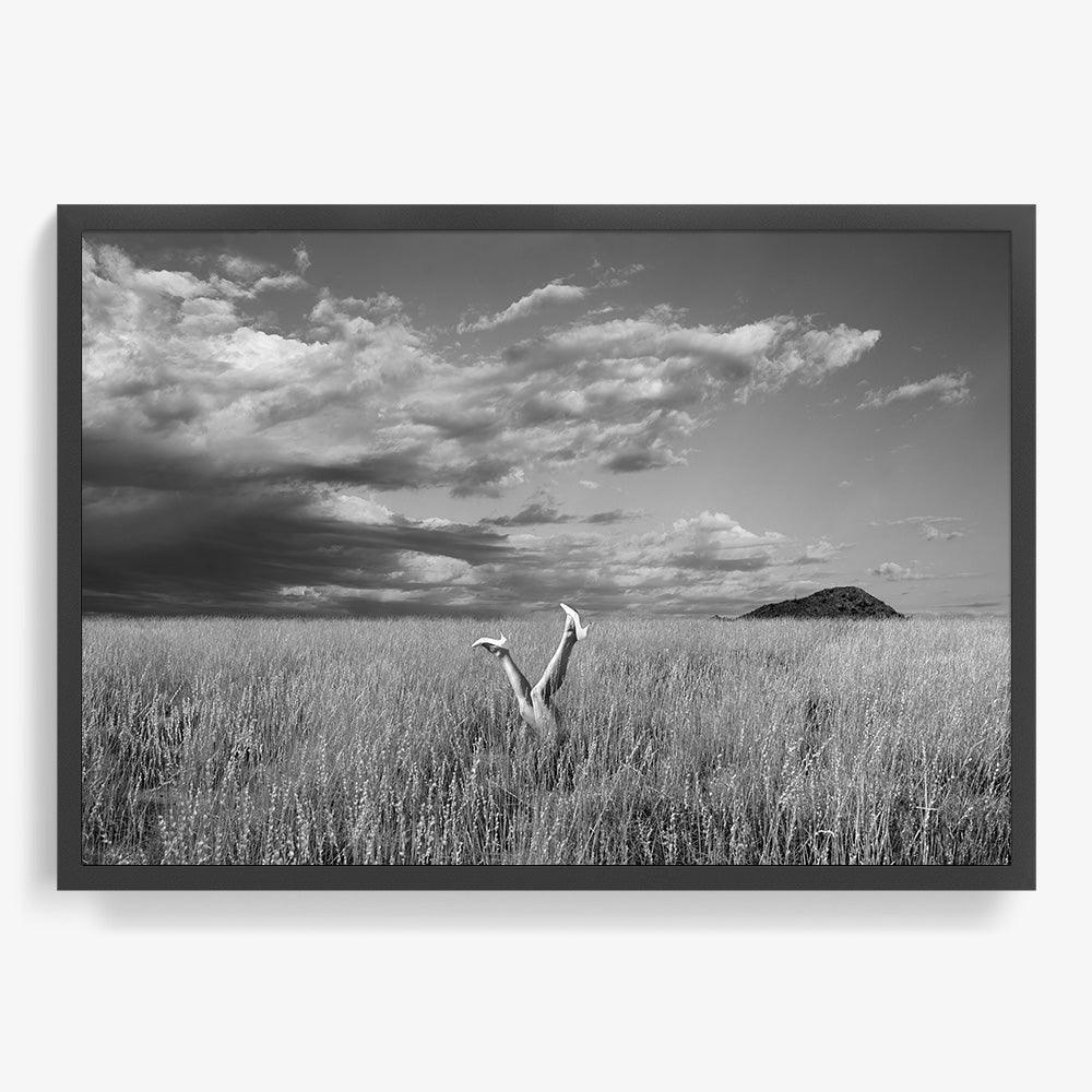 Photograph by Astrid Verhoef