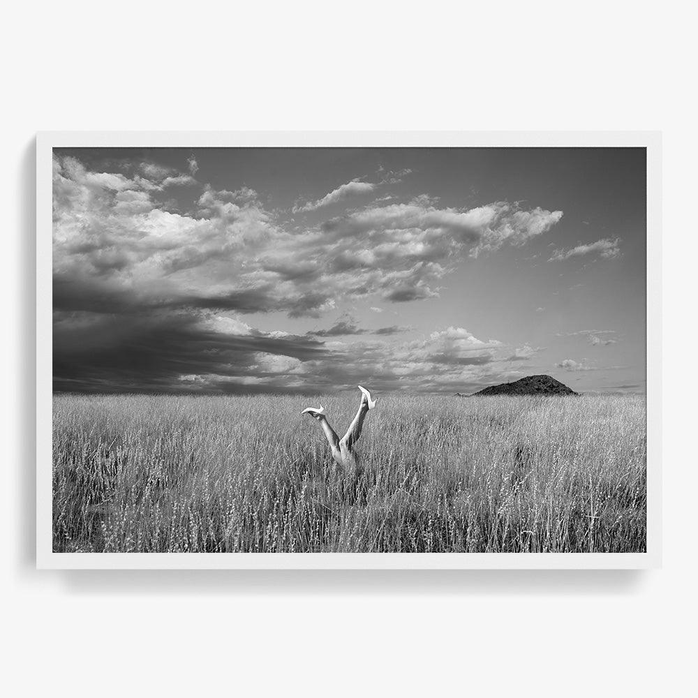 Photograph by Astrid Verhoef