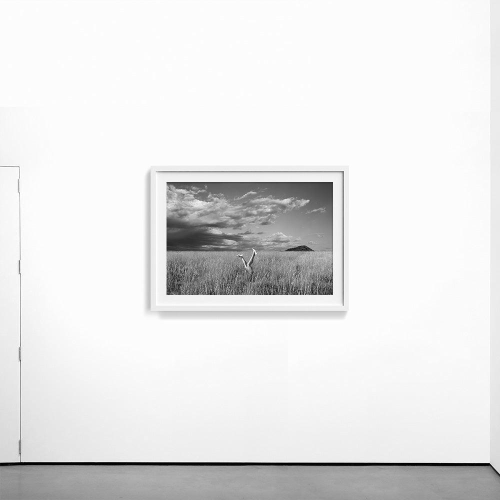 Photograph by Astrid Verhoef