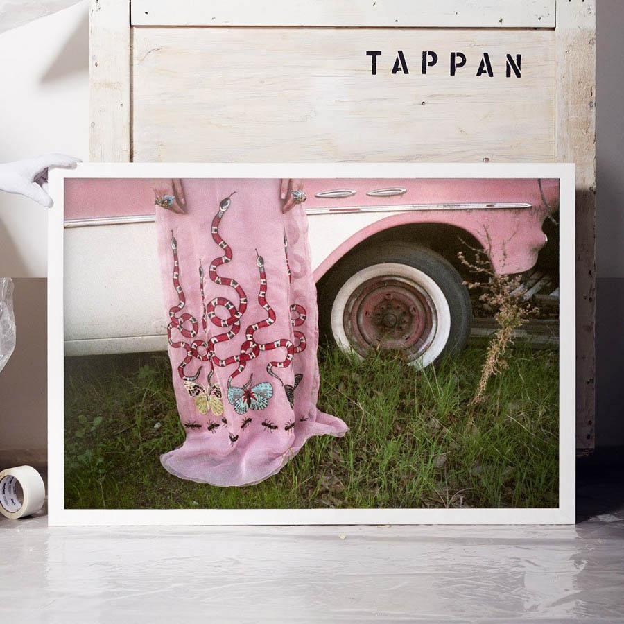 Untitled VI , Photograph by Untitled VI Tappan