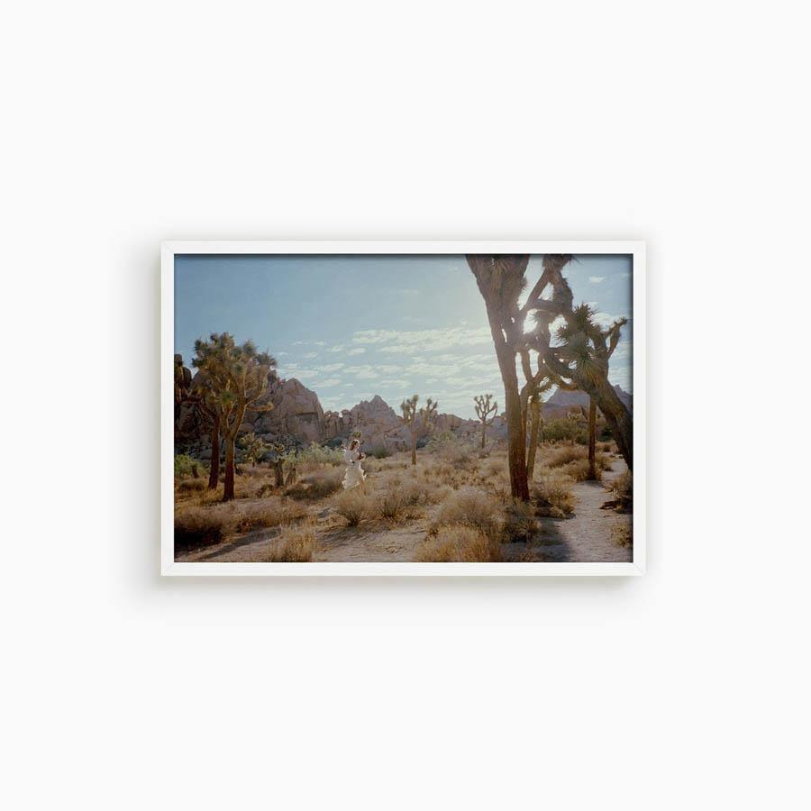 Photograph by Gia Coppola