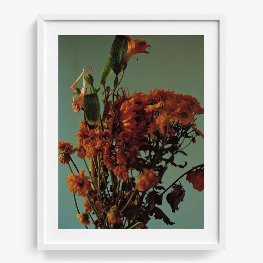 Photograph by Katie Burdon