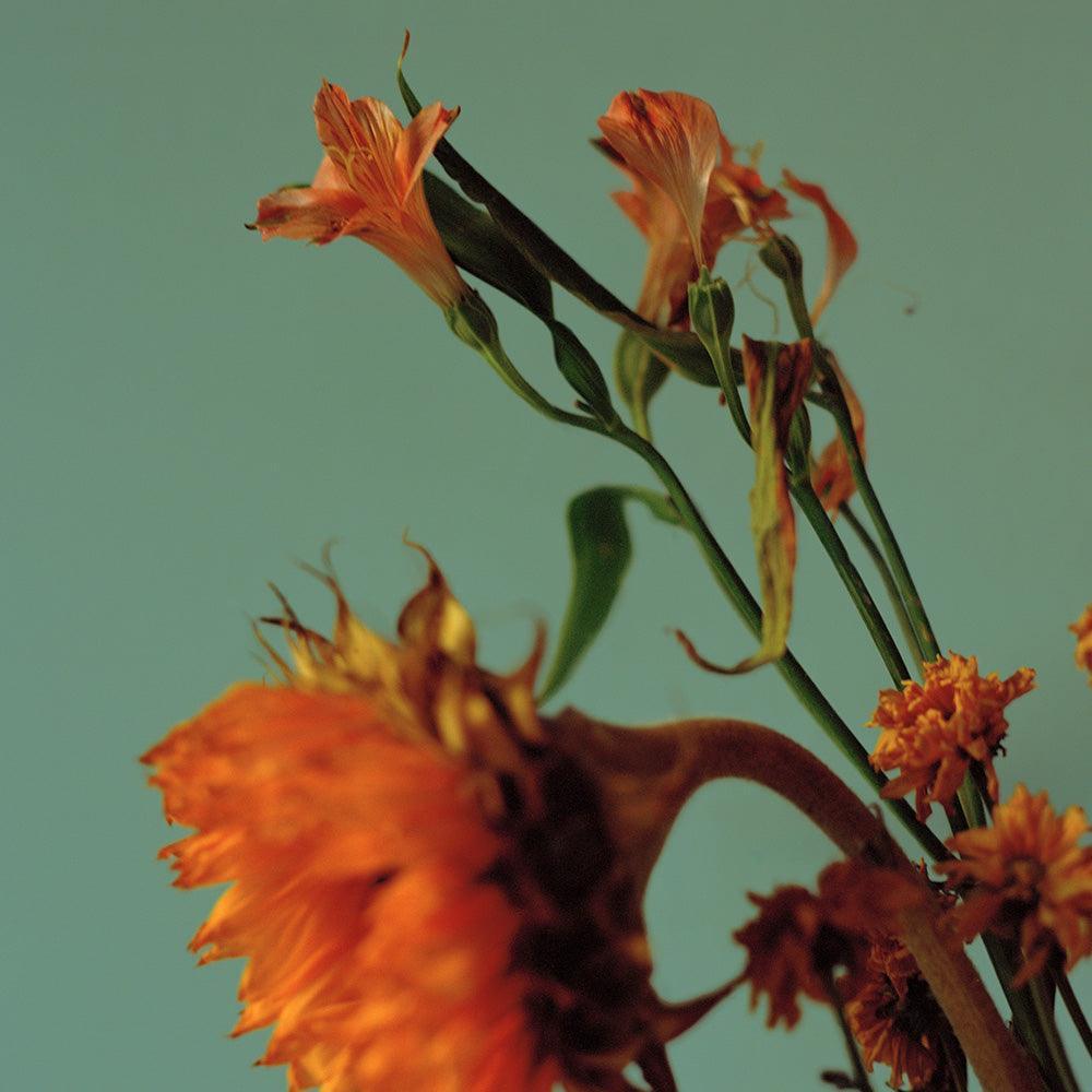 Photograph by Katie Burdon