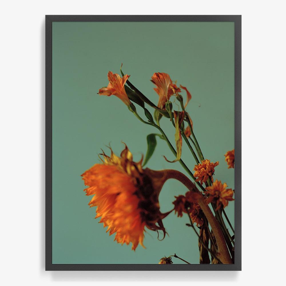 Photograph by Katie Burdon