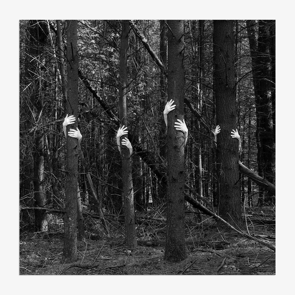 Photograph by Astrid Verhoef