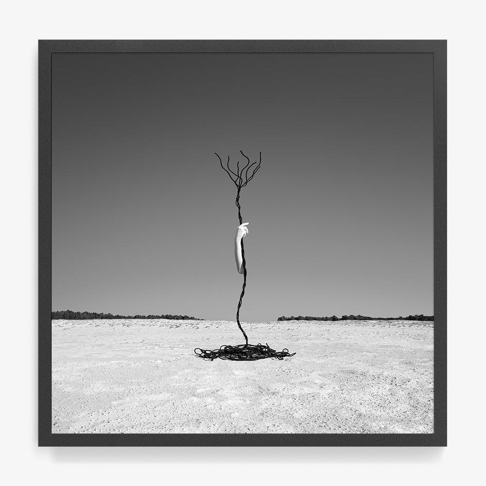 Photograph by Astrid Verhoef