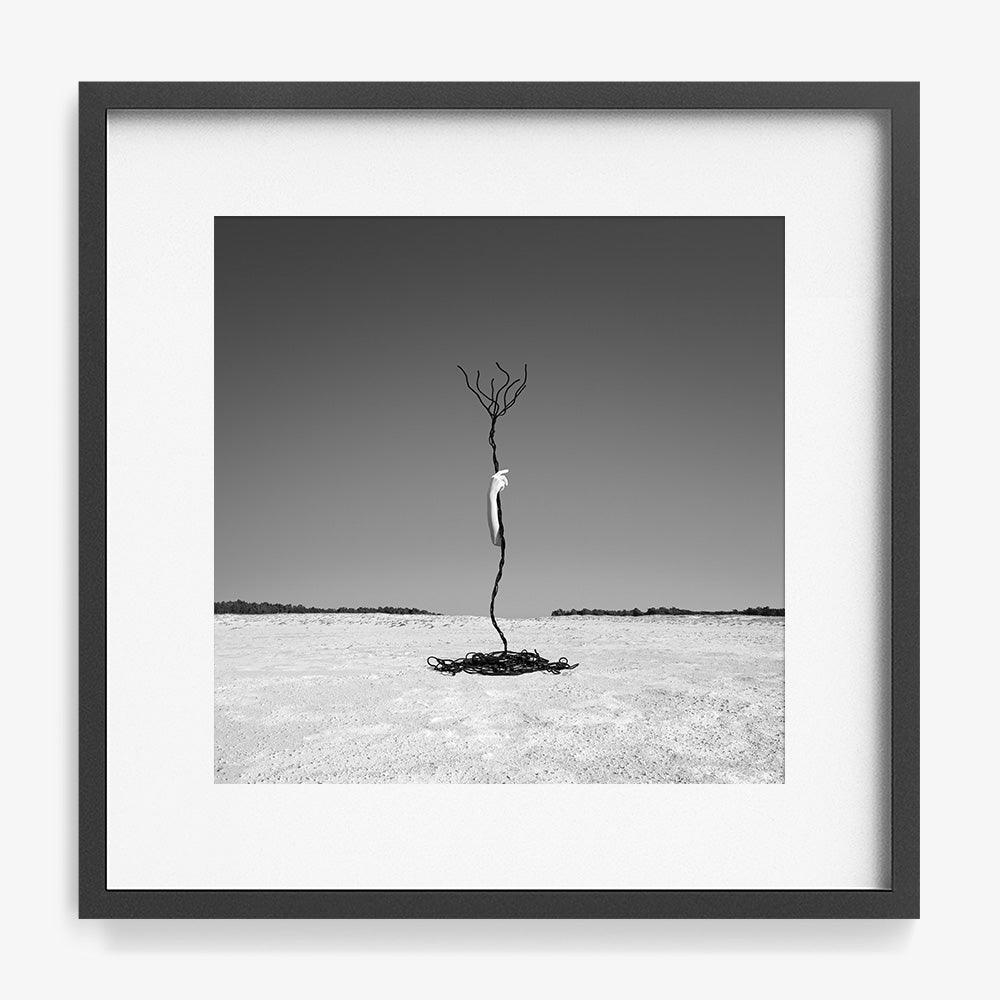 Photograph by Astrid Verhoef