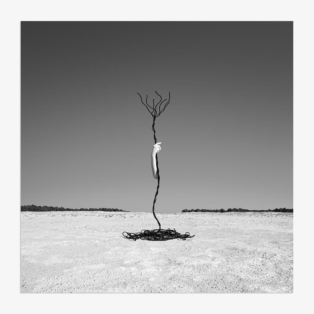 Photograph by Astrid Verhoef