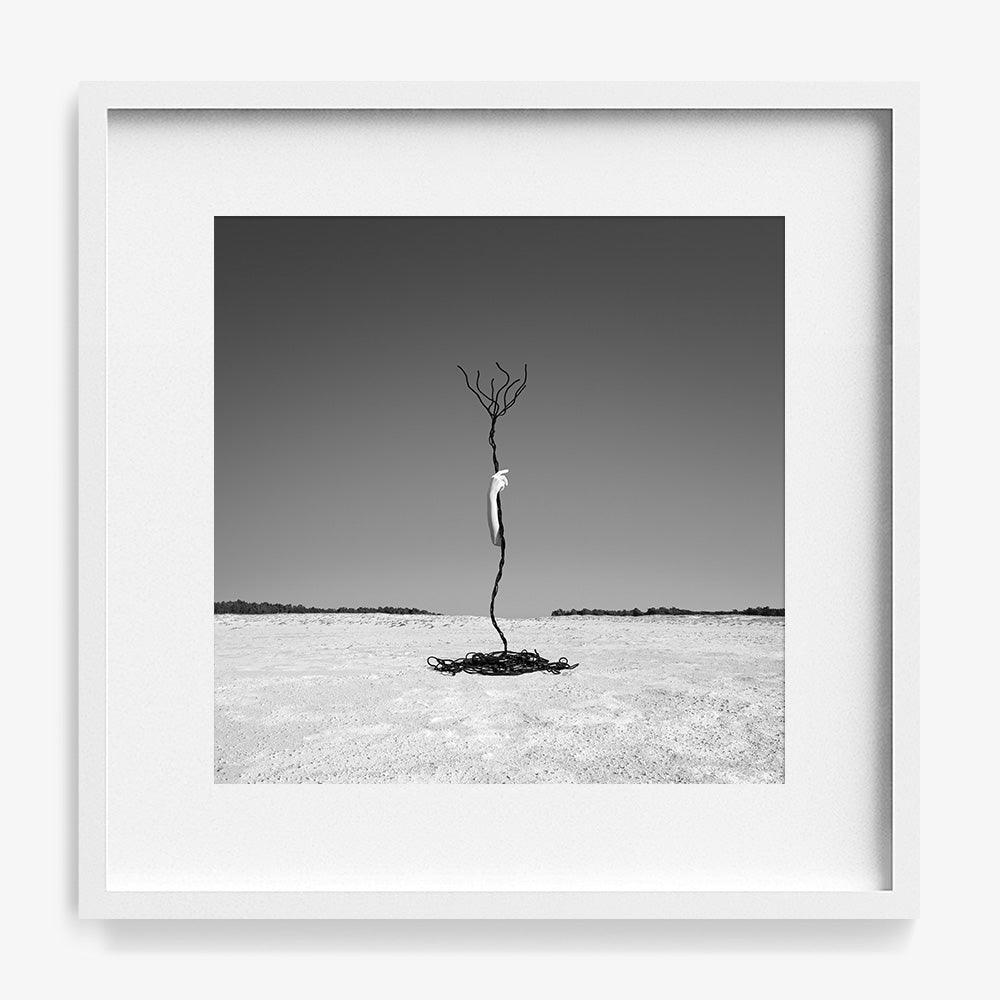 Photograph by Astrid Verhoef