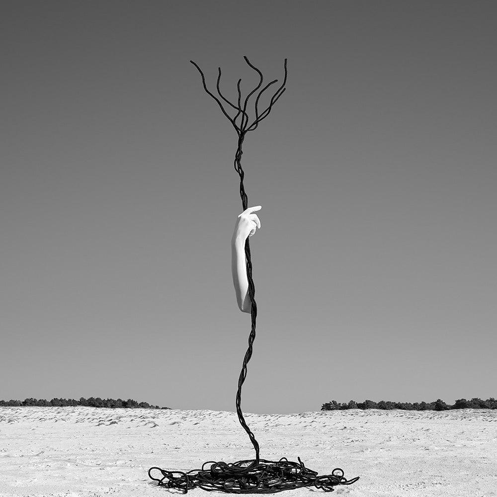 Photograph by Astrid Verhoef