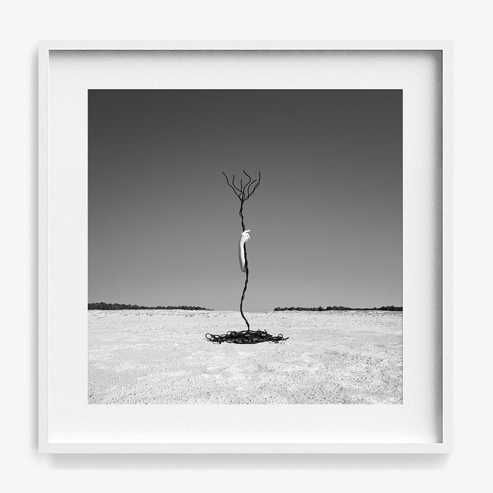 Photograph by Astrid Verhoef