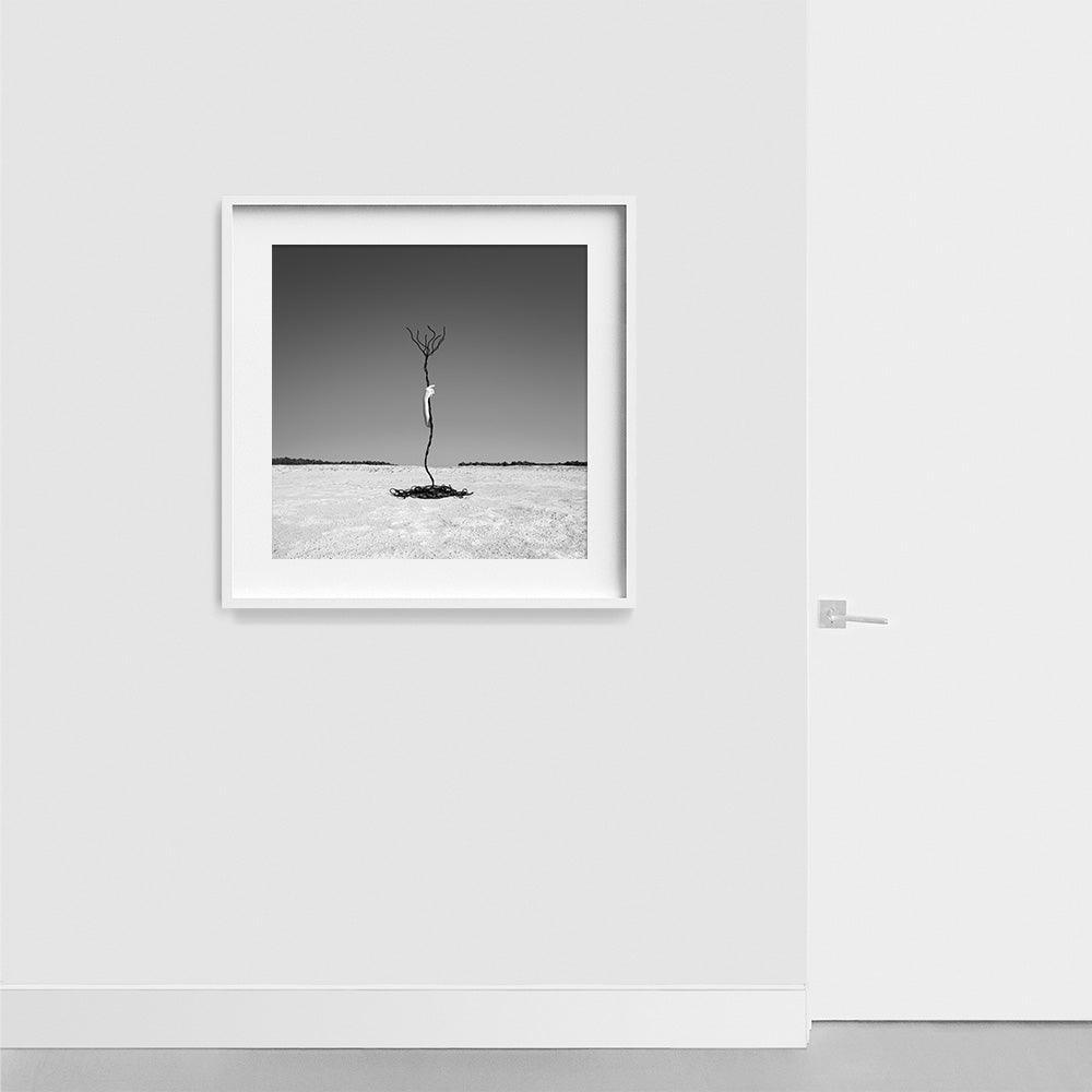 Photograph by Astrid Verhoef