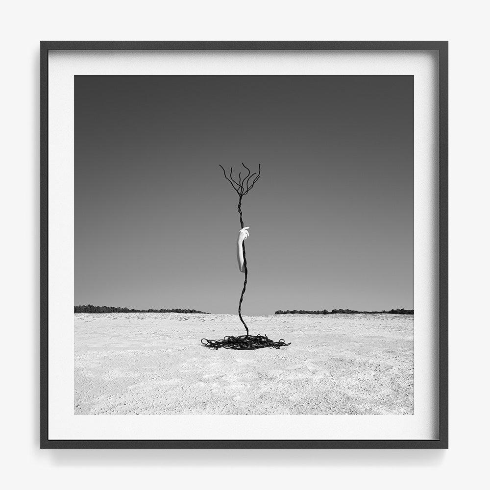 Photograph by Astrid Verhoef