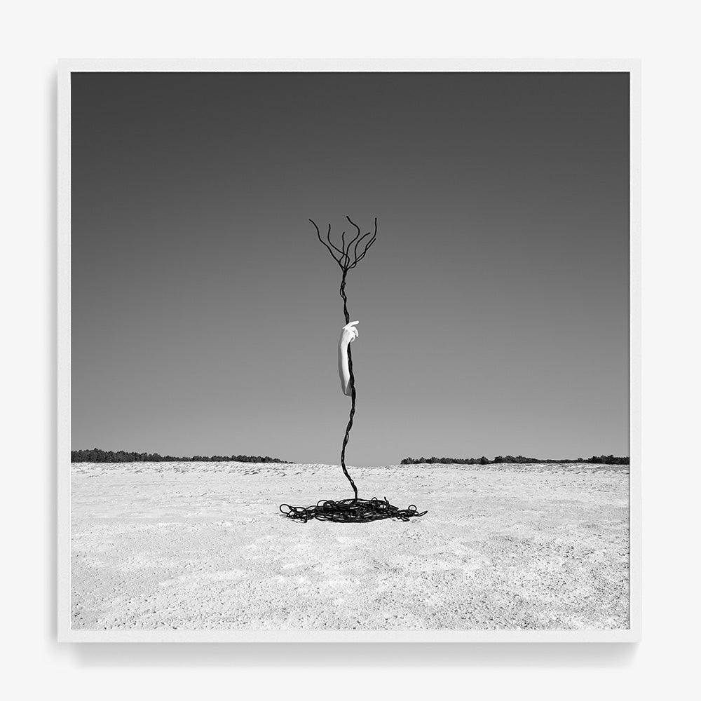Photograph by Astrid Verhoef