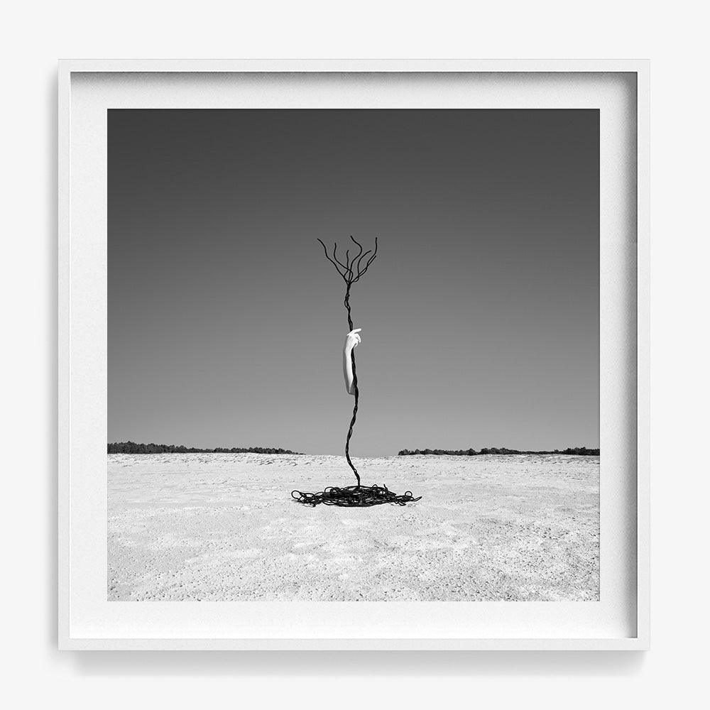 Photograph by Astrid Verhoef