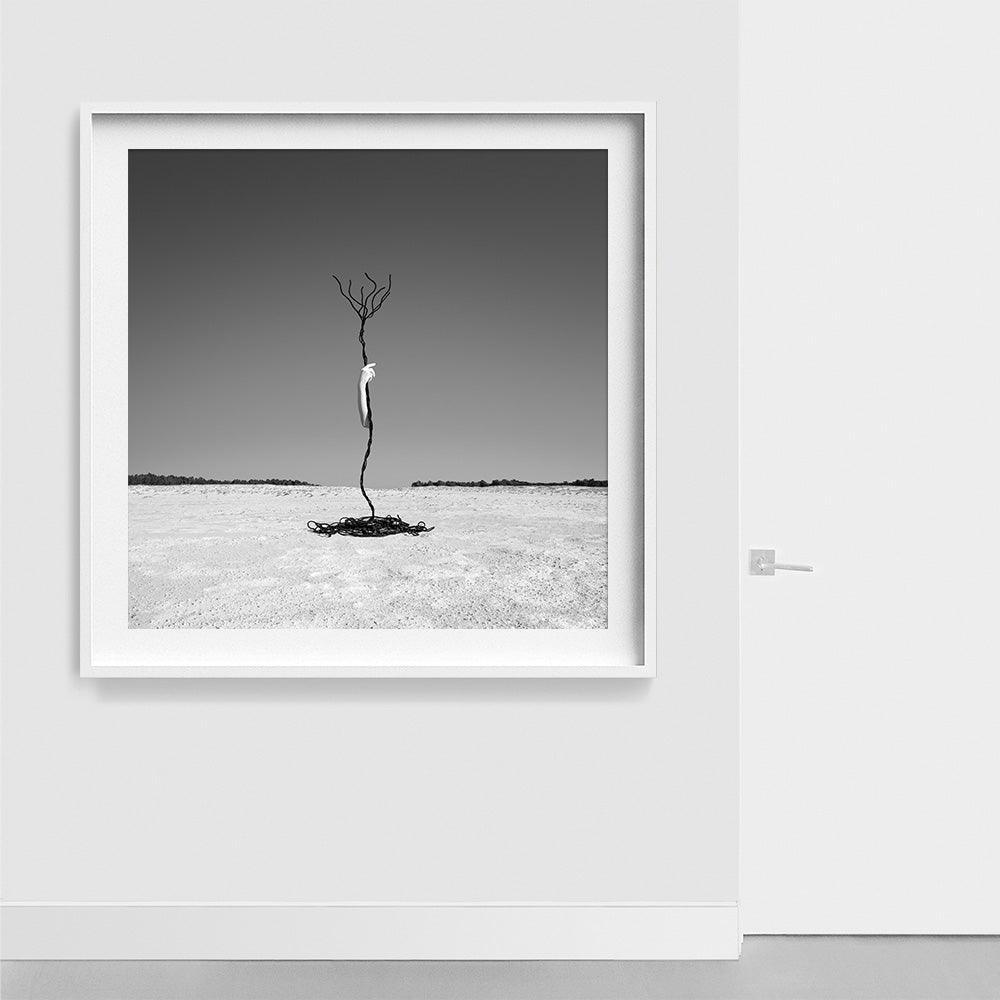 Photograph by Astrid Verhoef